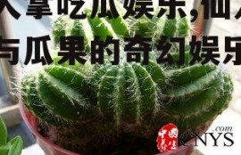 仙人掌吃瓜娱乐,仙人掌与瓜果的奇幻娱乐之旅