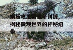 娱乐吃瓜酱量子纠缠,揭秘微观世界的神秘纽带