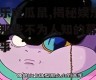 娱乐吃瓜鼠,揭秘娱乐圈那些不为人知的幕后故事