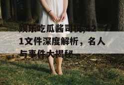 娱乐吃瓜酱司机,421文件深度解析，名人与事件大揭秘