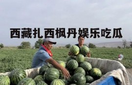 西藏扎西枫丹娱乐吃瓜