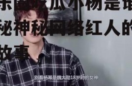 娱乐圈吃瓜小杨是谁,揭秘神秘网络红人的幕后故事
