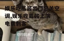 娱乐吃瓜酱出门忘关空调,娱乐吃瓜酱上演“电费刺客”
