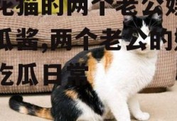 三花猫的两个老公娱乐吃瓜酱,两个老公的娱乐吃瓜日常