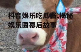 抖音娱乐吃瓜酱,揭秘娱乐圈幕后故事
