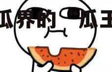 娱乐吃瓜君小团团,娱乐吃瓜界的“瓜王”传奇