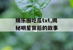娱乐圈吃瓜txt,揭秘明星背后的故事