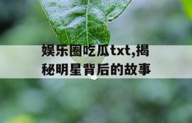 娱乐圈吃瓜txt,揭秘明星背后的故事