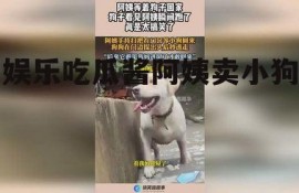 娱乐吃瓜酱阿姨卖小狗