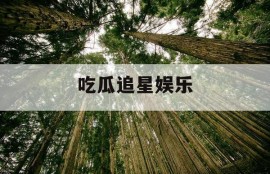 吃瓜追星娱乐
