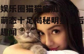 娱乐圈猫猫吃瓜图片,萌态十足揭秘明星幕后趣闻