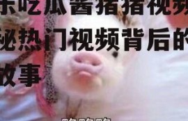 娱乐吃瓜酱猪猪视频,揭秘热门视频背后的趣味故事