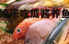 娱乐吃瓜酱养鱼