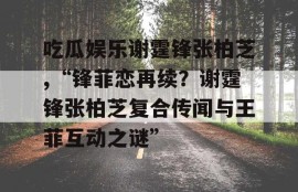 吃瓜娱乐谢霆锋张柏芝,“锋菲恋再续？谢霆锋张柏芝复合传闻与王菲互动之谜”