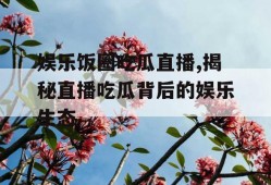 娱乐饭圈吃瓜直播,揭秘直播吃瓜背后的娱乐生态