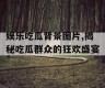 娱乐吃瓜背景图片,揭秘吃瓜群众的狂欢盛宴