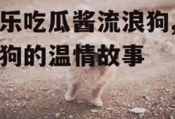 娱乐吃瓜酱流浪狗,流浪狗的温情故事