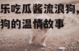 娱乐吃瓜酱流浪狗,流浪狗的温情故事