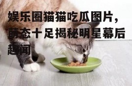 娱乐圈猫猫吃瓜图片,萌态十足揭秘明星幕后趣闻