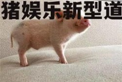 吃瓜猪娱乐新型道歉方式