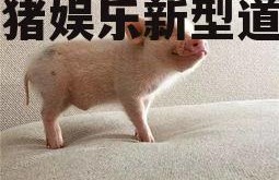 吃瓜猪娱乐新型道歉方式