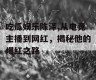 吃瓜娱乐陈泽,从电竞主播到网红，揭秘他的爆红之路