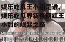 娱乐吃瓜王小甜是谁,娱乐吃瓜界新晋网红王小甜的崛起之路