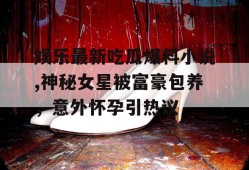 娱乐最新吃瓜爆料小说,神秘女星被富豪包养，意外怀孕引热议