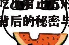 娱乐吃瓜君正方形,正方形背后的秘密与魅力