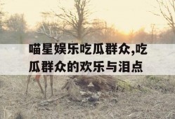 喵星娱乐吃瓜群众,吃瓜群众的欢乐与泪点