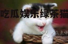 吃瓜娱乐绿茶猫