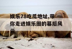 娱乐78吃瓜地址,带你走进娱乐圈的幕后风云