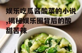娱乐吃瓜酱酸菜的小说,揭秘娱乐圈背后的酸甜苦辣