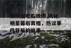 娱乐圈吃瓜微博,揭秘明星幕后真相，热议事件背后的故事