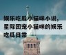 娱乐吃瓜小猫咪小说,星际团宠小猫咪的娱乐吃瓜日常