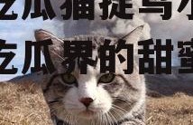 娱乐吃瓜猫捉鸟小说,娱乐吃瓜界的甜蜜陷阱
