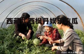 西藏扎西枫丹娱乐吃瓜