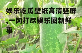 娱乐吃瓜壁纸高清竖屏,一网打尽娱乐圈新鲜事