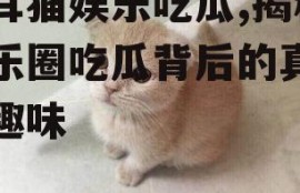 折耳猫娱乐吃瓜,揭秘娱乐圈吃瓜背后的真相与趣味