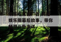 娱乐吃瓜酱广告,揭秘娱乐圈幕后故事，带你畅游八卦海洋