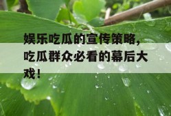 娱乐吃瓜的宣传策略,吃瓜群众必看的幕后大戏！