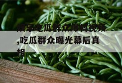 娱乐吃瓜群众爆料视频,吃瓜群众曝光幕后真相