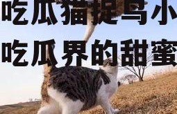 娱乐吃瓜猫捉鸟小说,娱乐吃瓜界的甜蜜陷阱