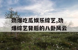 劲爆吃瓜娱乐综艺,劲爆综艺背后的八卦风云