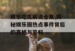 娱乐吃瓜解说全集,揭秘娱乐圈热点事件背后的真相与笑料