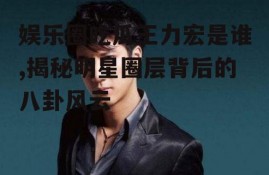 娱乐圈吃瓜王力宏是谁,揭秘明星圈层背后的八卦风云