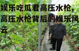 娱乐吃瓜君高压水枪,高压水枪背后的娱乐风云