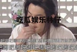 吃瓜娱乐林仔