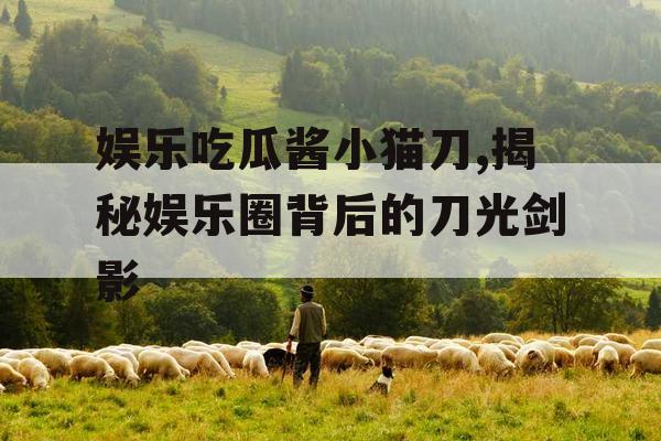 娱乐吃瓜酱小猫刀,揭秘娱乐圈背后的刀光剑影