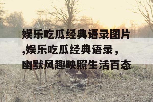 娱乐吃瓜经典语录图片,娱乐吃瓜经典语录，幽默风趣映照生活百态